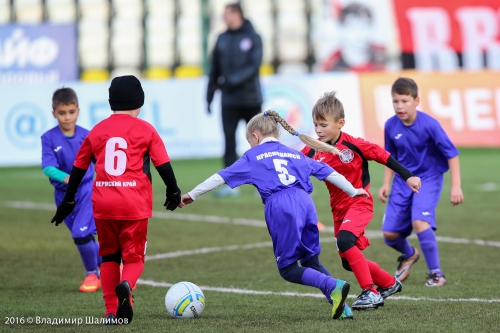 "Амкар" - "Томь"