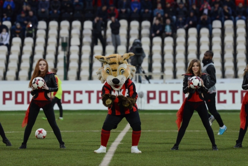 "Амкар" - "Краснодар". Антураж матча