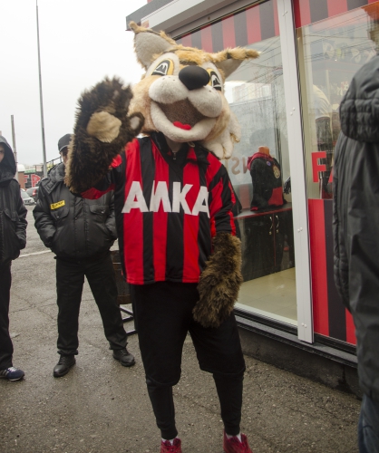 Старт продаж абонементов на сезон 2017\2018