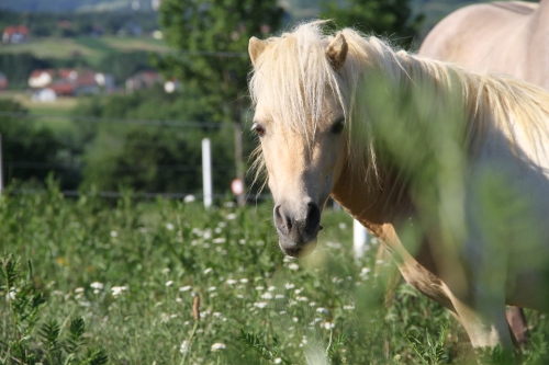 Первая тренировка в Австрии