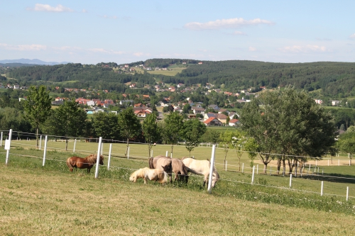 Первая тренировка в Австрии