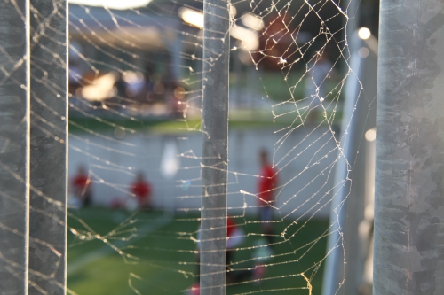 Сборы в Словении. "Амкар" - "Чукарички"