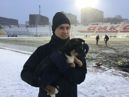 #Помогатьпросто. "Амкар" с бездомными собаками