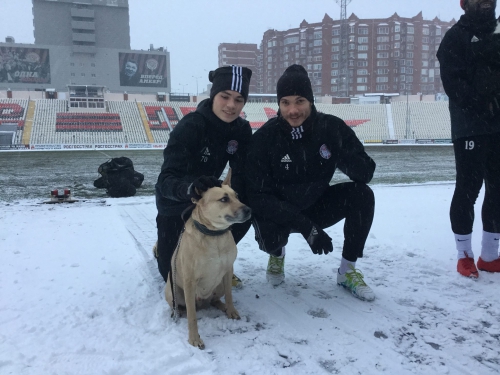 #Помогатьпросто. "Амкар" с бездомными собаками