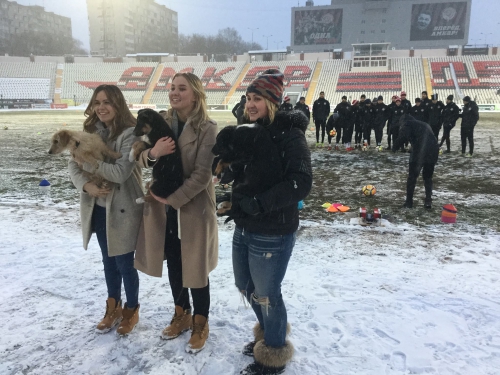 #Помогатьпросто. "Амкар" с бездомными собаками