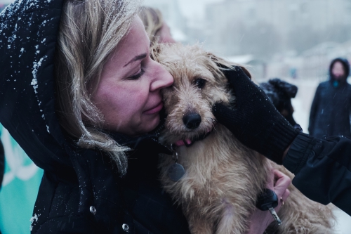 #Помогатьпросто. "Амкар" с бездомными собаками