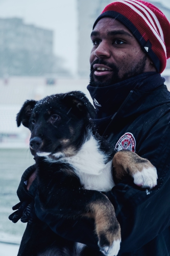 #Помогатьпросто. "Амкар" с бездомными собаками