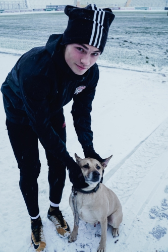 #Помогатьпросто. "Амкар" с бездомными собаками