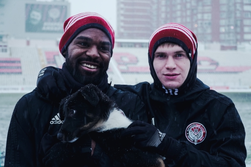 #Помогатьпросто. "Амкар" с бездомными собаками