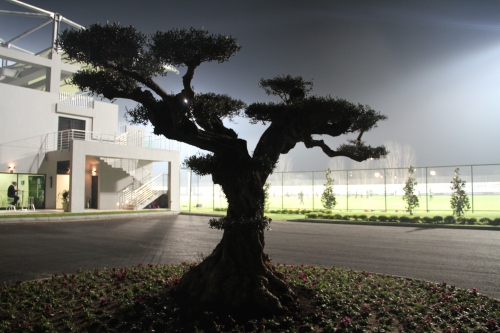 Тренировка в Турции. 5.02.2018