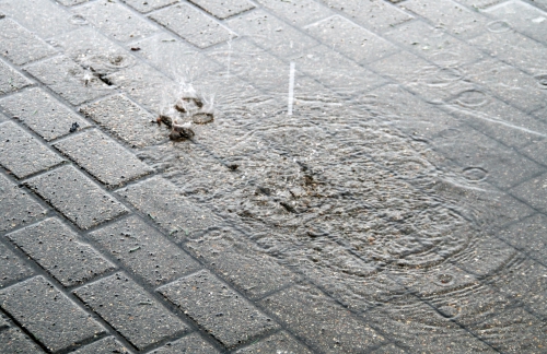 «Тосно»-М — «Амкар»-М 4:1