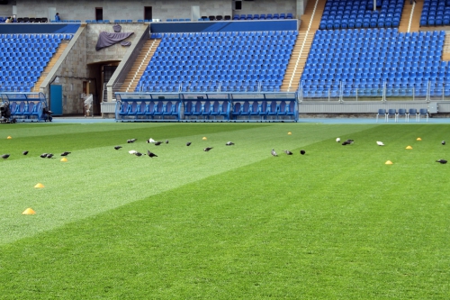 «Тосно» — «Амкар» 0:2